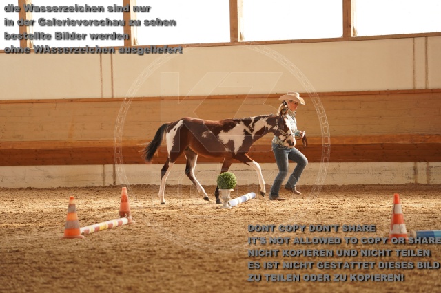 s_A_901229.JPG